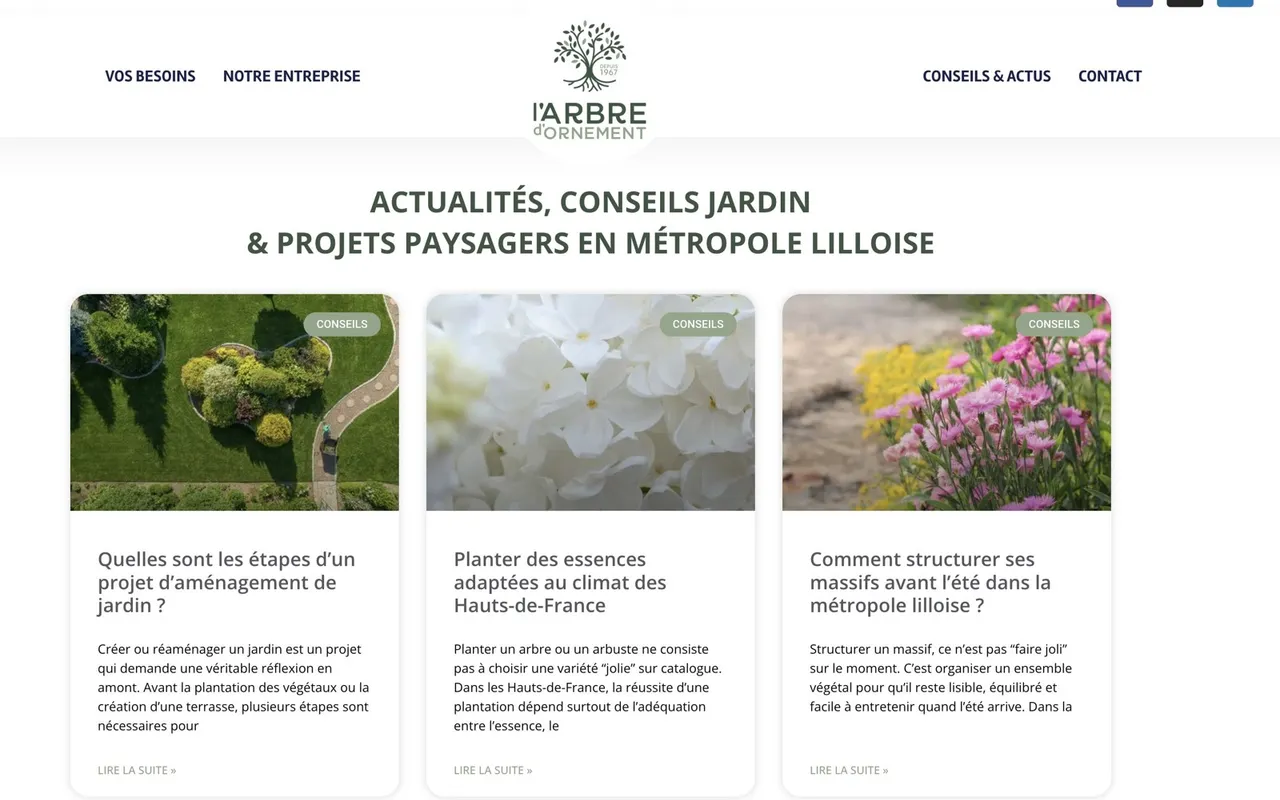 L'Arbre d'Ornement, visuel 3